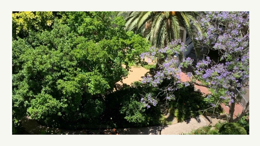 0 Bedroom Property for Sale in Gardens Western Cape